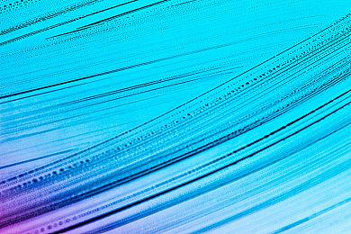 《虫子快餐店》大型更新“大餐岛屿”现将添加新奖杯